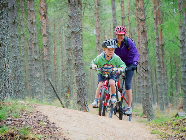 Forest Mountain Bike Trail