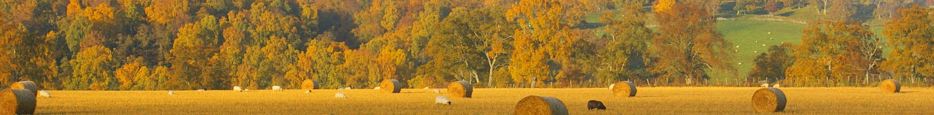 Strathavon, Speyside, Moray, Scotland